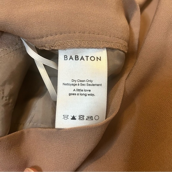 Aritzia Babaton | Lightweight Conan Pant | Nutmeg with white stripe | Size 6 - Picture 6 of 13